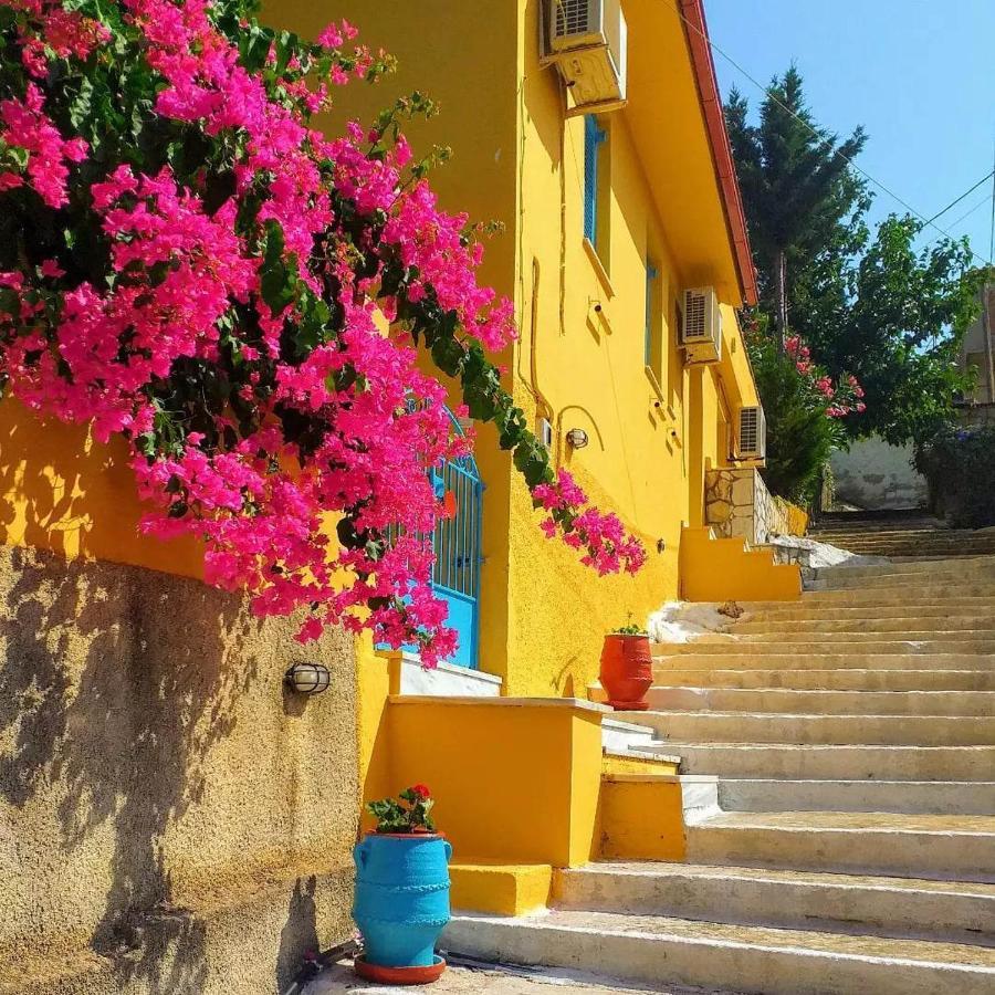 Villa Eleni Vathy  Esterno foto
